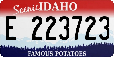 ID license plate E223723