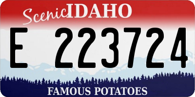 ID license plate E223724