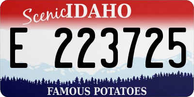ID license plate E223725