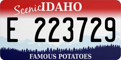 ID license plate E223729