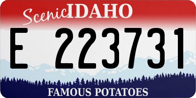 ID license plate E223731