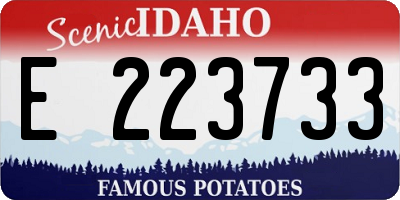 ID license plate E223733