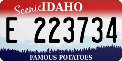 ID license plate E223734