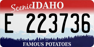 ID license plate E223736