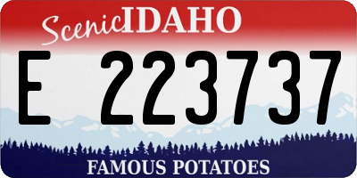 ID license plate E223737