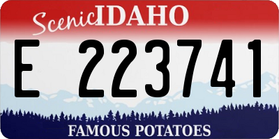 ID license plate E223741