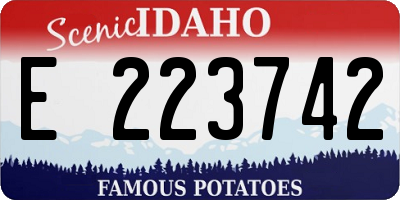 ID license plate E223742