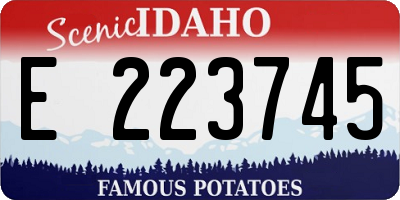 ID license plate E223745