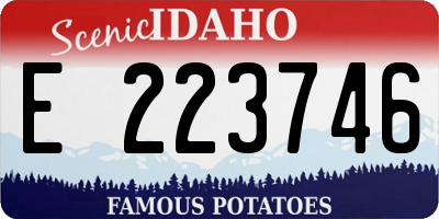 ID license plate E223746