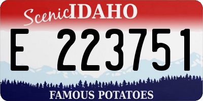 ID license plate E223751