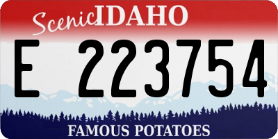 ID license plate E223754