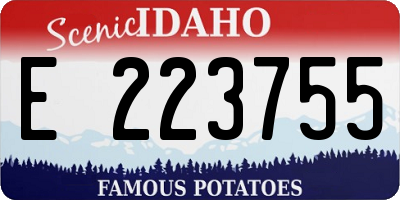 ID license plate E223755