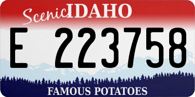 ID license plate E223758
