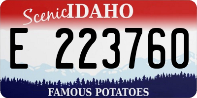 ID license plate E223760