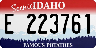 ID license plate E223761