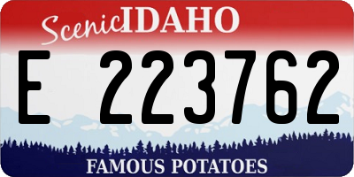 ID license plate E223762