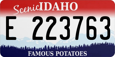 ID license plate E223763