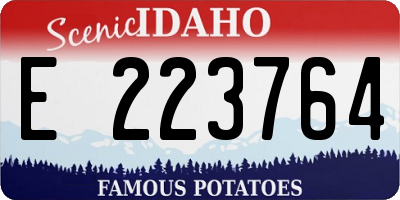 ID license plate E223764