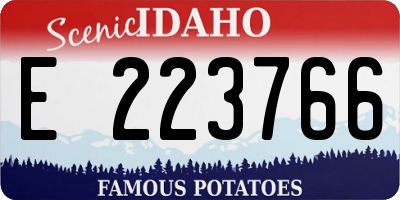 ID license plate E223766