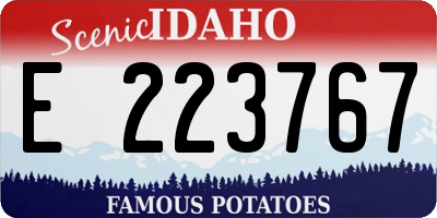 ID license plate E223767