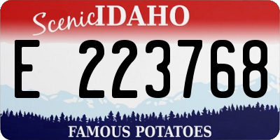 ID license plate E223768