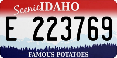 ID license plate E223769