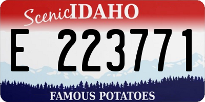 ID license plate E223771