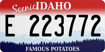 ID license plate E223772