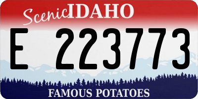 ID license plate E223773