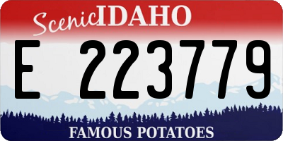 ID license plate E223779