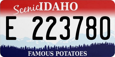 ID license plate E223780