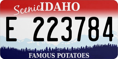 ID license plate E223784