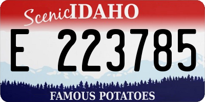 ID license plate E223785