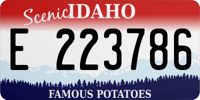 ID license plate E223786