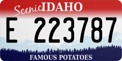 ID license plate E223787