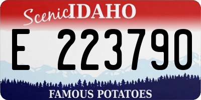 ID license plate E223790