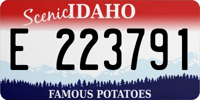ID license plate E223791