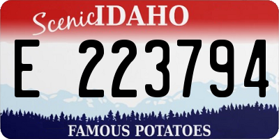 ID license plate E223794