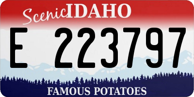 ID license plate E223797