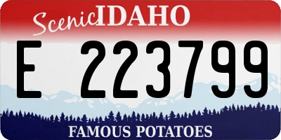 ID license plate E223799