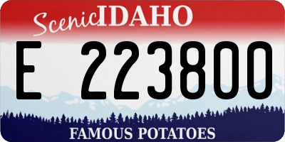 ID license plate E223800