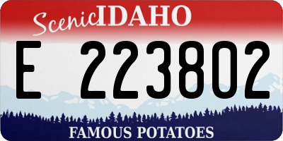 ID license plate E223802