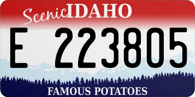 ID license plate E223805