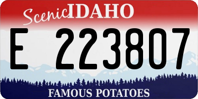 ID license plate E223807