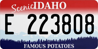 ID license plate E223808