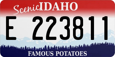ID license plate E223811