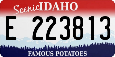 ID license plate E223813