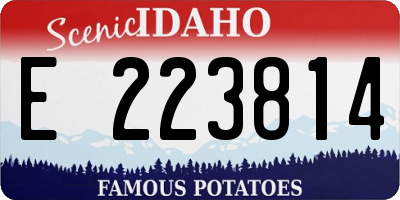 ID license plate E223814
