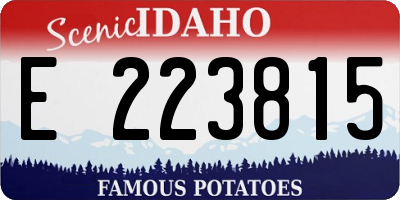ID license plate E223815