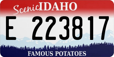 ID license plate E223817